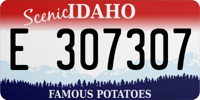 ID license plate E307307