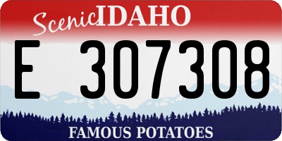 ID license plate E307308