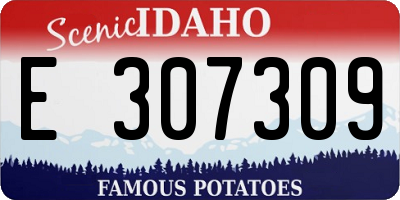 ID license plate E307309