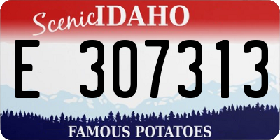 ID license plate E307313