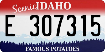 ID license plate E307315