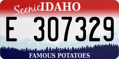 ID license plate E307329