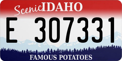ID license plate E307331