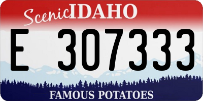 ID license plate E307333
