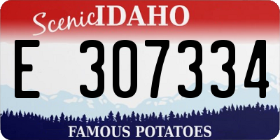 ID license plate E307334