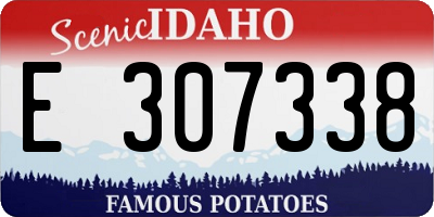 ID license plate E307338