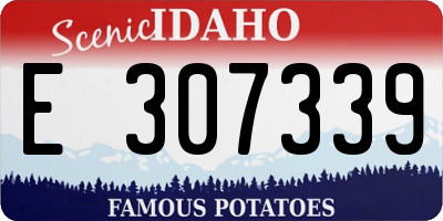 ID license plate E307339