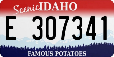 ID license plate E307341