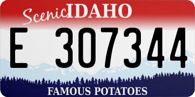 ID license plate E307344