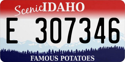 ID license plate E307346