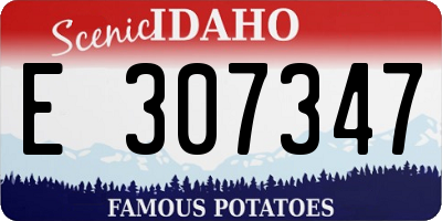 ID license plate E307347