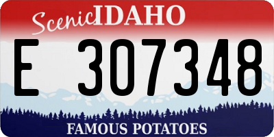 ID license plate E307348