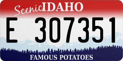 ID license plate E307351