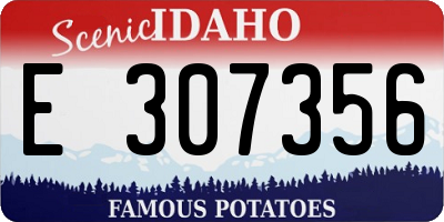 ID license plate E307356