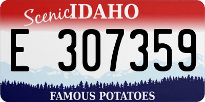 ID license plate E307359