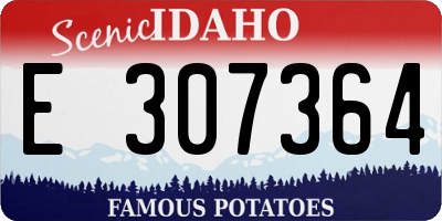ID license plate E307364