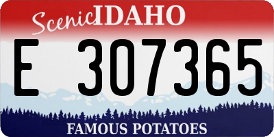 ID license plate E307365
