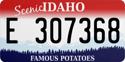 ID license plate E307368