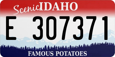 ID license plate E307371