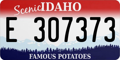 ID license plate E307373