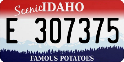 ID license plate E307375