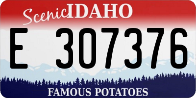 ID license plate E307376