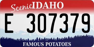 ID license plate E307379