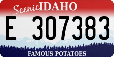 ID license plate E307383