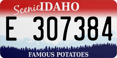 ID license plate E307384