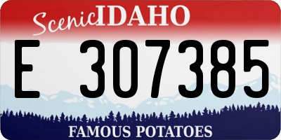 ID license plate E307385