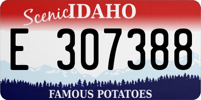 ID license plate E307388