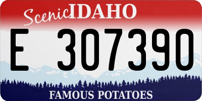 ID license plate E307390