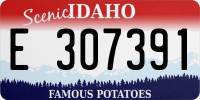 ID license plate E307391