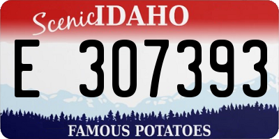 ID license plate E307393