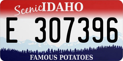 ID license plate E307396