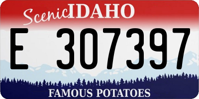 ID license plate E307397