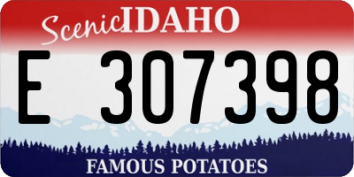 ID license plate E307398