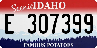 ID license plate E307399
