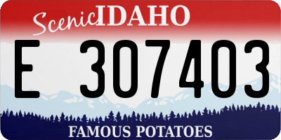 ID license plate E307403