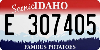 ID license plate E307405