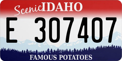 ID license plate E307407