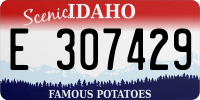 ID license plate E307429