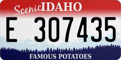 ID license plate E307435