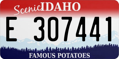 ID license plate E307441