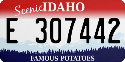 ID license plate E307442