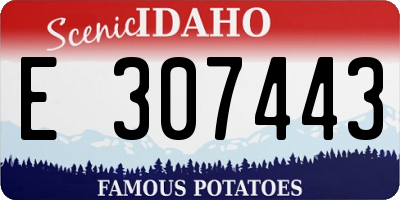 ID license plate E307443