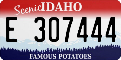 ID license plate E307444
