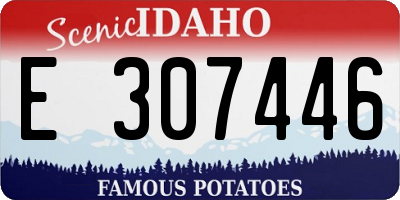 ID license plate E307446