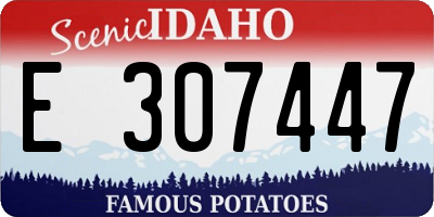ID license plate E307447
