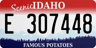 ID license plate E307448
